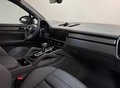 Daumennagel 14 - Porsche Cayenne E-Hybrid Platinum Edition
