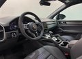 Daumennagel 16 - Porsche Cayenne E-Hybrid Platinum Edition
