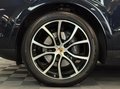 Daumennagel 20 - Porsche Cayenne E-Hybrid Platinum Edition