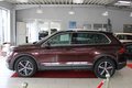 Daumennagel 2 - Volkswagen Tiguan 2.0 TSI DSG Highline 4Motion *AHK/LED*