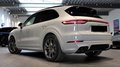 Daumennagel 2 - Porsche Cayenne E-Hybrid Platinum Edition