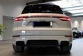 Daumennagel 4 - Porsche Cayenne E-Hybrid Platinum Edition