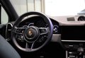 Daumennagel 12 - Porsche Cayenne E-Hybrid Platinum Edition