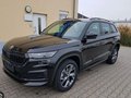 Daumennagel 1 - Skoda Kodiaq Ambition 4x4
