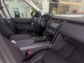 Daumennagel 19 - Land Rover Discovery 5 SE TD4