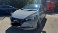 Daumennagel 2 - Nissan Leaf e+ Tekna