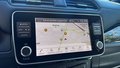 Daumennagel 20 - Nissan Leaf e+ Tekna