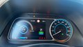 Daumennagel 22 - Nissan Leaf e+ Tekna