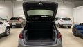 Daumennagel 4 - Skoda Fabia 1.0 TSI DSG Monte Carlo
