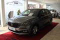 Daumennagel 3 - Skoda Fabia 1.0 TSI DSG Monte Carlo