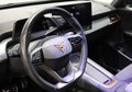 Daumennagel 13 - CUPRA Born 19-ZOLL*Wärmepumpe