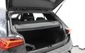 Daumennagel 20 - CUPRA Born 19-ZOLL*Wärmepumpe
