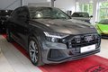 Daumennagel 8 - Audi Q8 50 TDI quattro S-LINE
