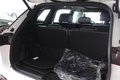 Daumennagel 32 - Volkswagen Tayron 2.0 TDI 4Motion R-Line  7-SITZER/AHK/PANO