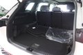 Daumennagel 33 - Volkswagen Tayron 2.0 TDI 4Motion R-Line  7-SITZER/AHK/PANO