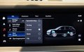 Daumennagel 19 - Porsche Cayenne S E-Hybrid PASSENG-DISPLAY