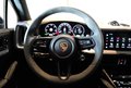 Daumennagel 22 - Porsche Cayenne S E-Hybrid PASSENG-DISPLAY