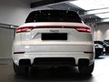 Daumennagel 2 - Porsche Cayenne E-Hybrid Platinum Edition