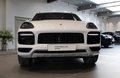 Daumennagel 3 - Porsche Cayenne E-Hybrid Platinum Edition