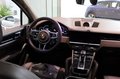 Daumennagel 11 - Porsche Cayenne E-Hybrid Platinum Edition