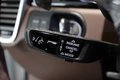 Daumennagel 14 - Porsche Cayenne E-Hybrid Platinum Edition
