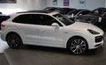Daumennagel 8 - Porsche Cayenne E-Hybrid Platinum Edition