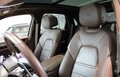Daumennagel 19 - Porsche Cayenne E-Hybrid Platinum Edition