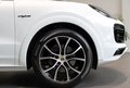 Daumennagel 23 - Porsche Cayenne E-Hybrid Platinum Edition