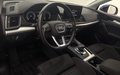 Daumennagel 10 - Audi Q5 Sportback 40 TDI quattro /AHK/KAMERA