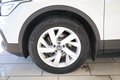 Thumbnail 12 - Volkswagen Tiguan 1.5 TSI Life *KAMERA/AHK*