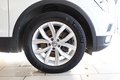 Daumennagel 37 - Volkswagen Tiguan 2.0 TSi 4Motion Standheizung*
