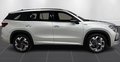 Daumennagel 2 - Skoda Kodiaq 1.5 TSI iV Sportline AHK KAMERA