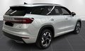 Daumennagel 3 - Skoda Kodiaq 1.5 TSI iV Sportline AHK KAMERA