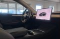 Daumennagel 10 - Tesla Model Y RWD