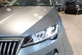 Daumennagel 10 - Skoda Superb Combi Style 4x4