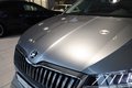 Daumennagel 11 - Skoda Superb Combi Style 4x4