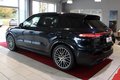 Daumennagel 3 - Porsche Cayenne E-Hybrid Platinum Edition