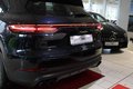 Daumennagel 4 - Porsche Cayenne E-Hybrid Platinum Edition
