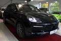Daumennagel 8 - Porsche Cayenne E-Hybrid Platinum Edition