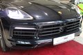 Daumennagel 9 - Porsche Cayenne E-Hybrid Platinum Edition