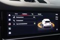 Daumennagel 33 - Porsche Cayenne E-Hybrid Platinum Edition