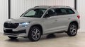 Daumennagel 1 - Skoda Kodiaq Sportline 4x4