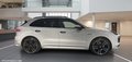 Daumennagel 3 - Porsche Cayenne E-Hybrid Platinum Edition