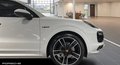 Daumennagel 2 - Porsche Cayenne E-Hybrid Platinum Edition