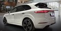 Daumennagel 4 - Porsche Cayenne E-Hybrid Platinum Edition
