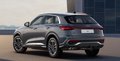 Daumennagel 8 - Audi Q5 2.0 TDI quattro S-Line Bestellung frei Konfigu.