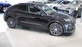 Daumennagel 9 - Porsche Macan Electric BOSE AHK L-HEIZBAR
