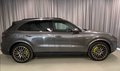 Daumennagel 2 - Porsche Cayenne E-Hybrid