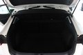 Daumennagel 10 - Cupra Formentor DSG*Carplay-Navi*1.Hand