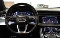Daumennagel 17 - Audi Q8 50 TDI quattro S-LINE